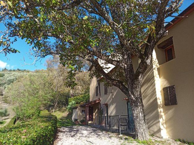 Agriturismo Il Giardino Pontassieve Eksteriør billede