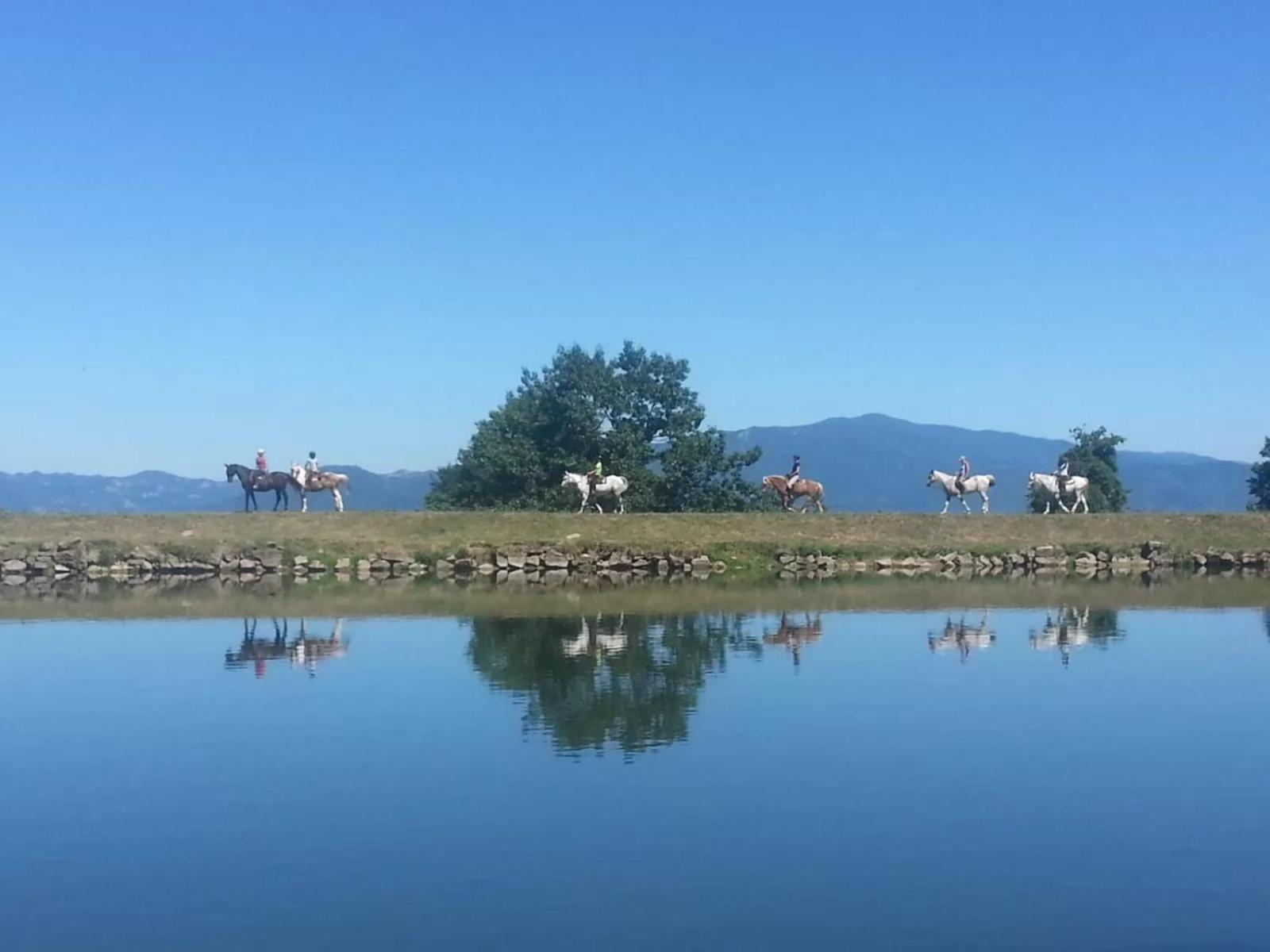 Agriturismo Il Giardino Pontassieve Eksteriør billede
