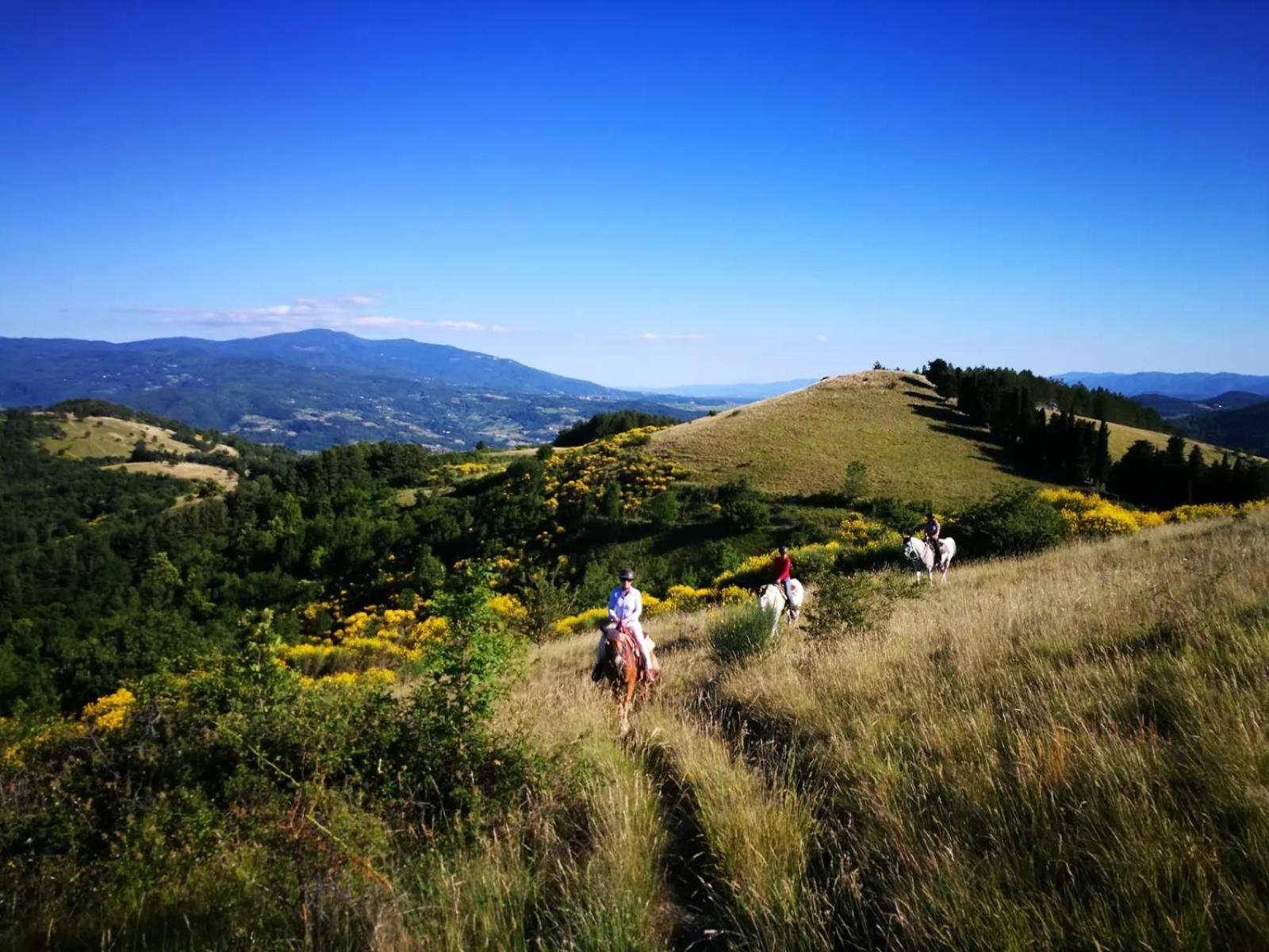 Agriturismo Il Giardino Pontassieve Eksteriør billede