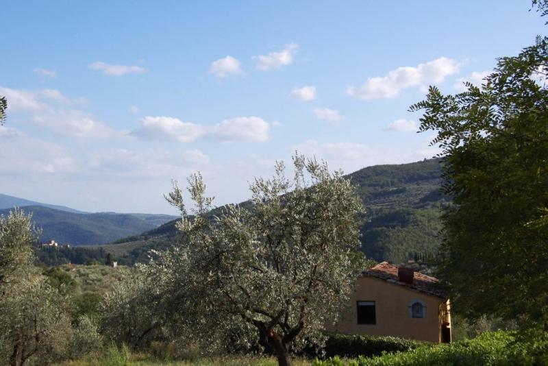 Agriturismo Il Giardino Pontassieve Eksteriør billede
