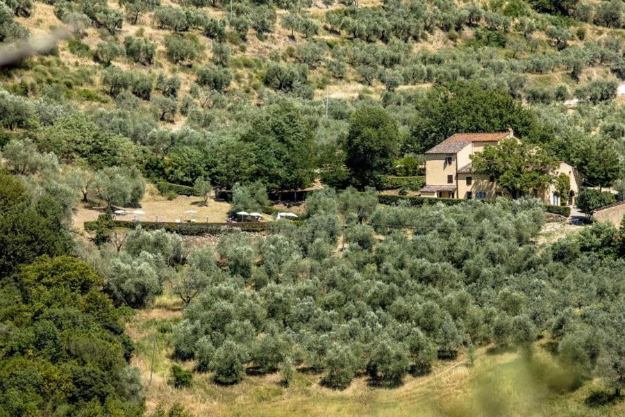 Agriturismo Il Giardino Pontassieve Eksteriør billede
